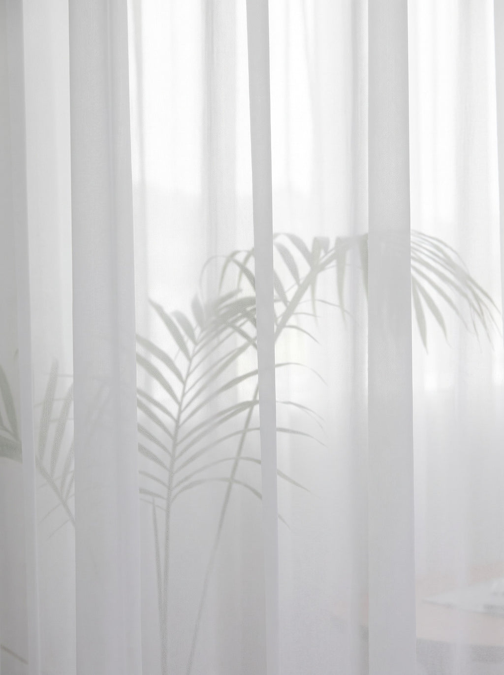 Le tulle blanc en plis verticaux, l'ombre d'une plante se devine au travers du voile