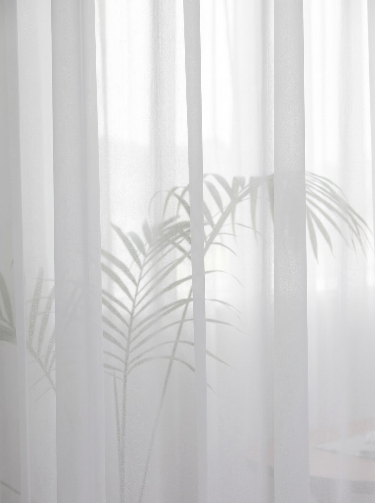Le tulle blanc en plis verticaux, l'ombre d'une plante se devine au travers du voile