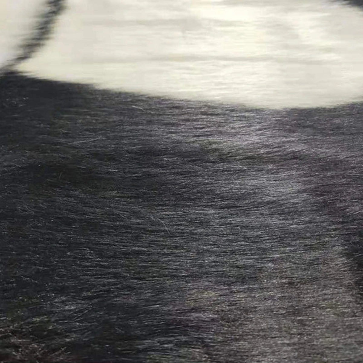 Détail des fibres noires, blanches et grises du tapis panda