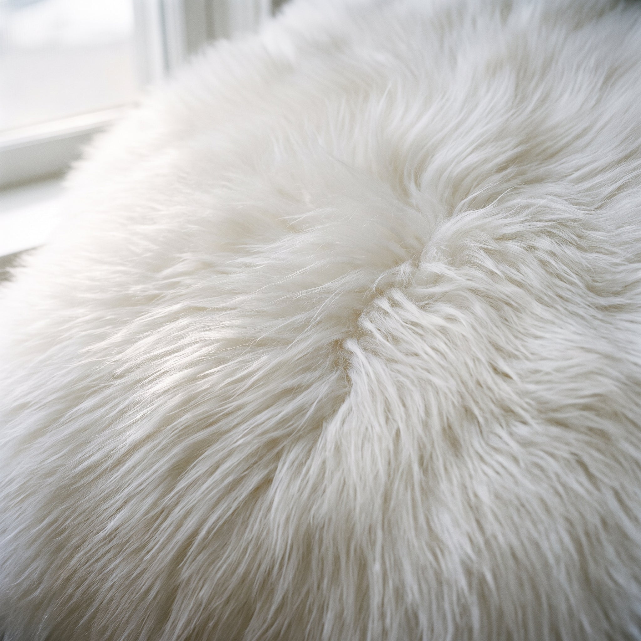 Gros plan sur le poil long de la fausse fourrure blanche Image
