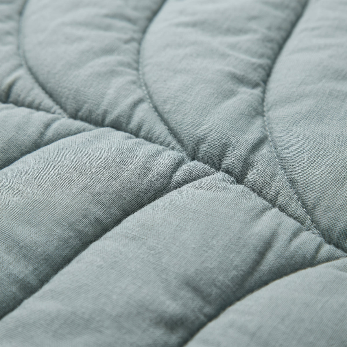 Coton matelassé du tapis feuille, piqûres des nervures en lumière rasante Image