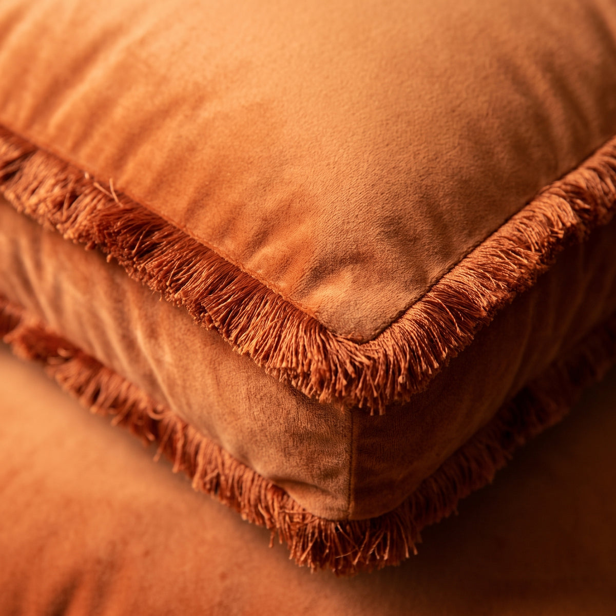 Velours et frange du coussin de sol vus de très près