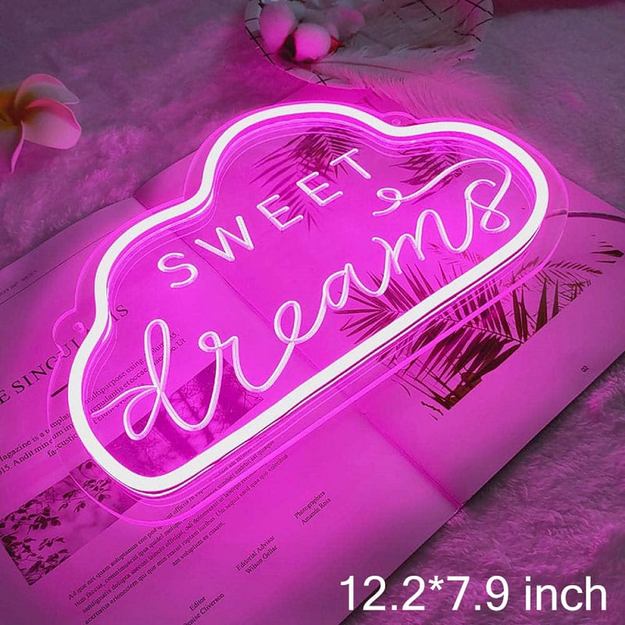 Enseigne lumineuse sweet dreams rose avec ses dimensions Image