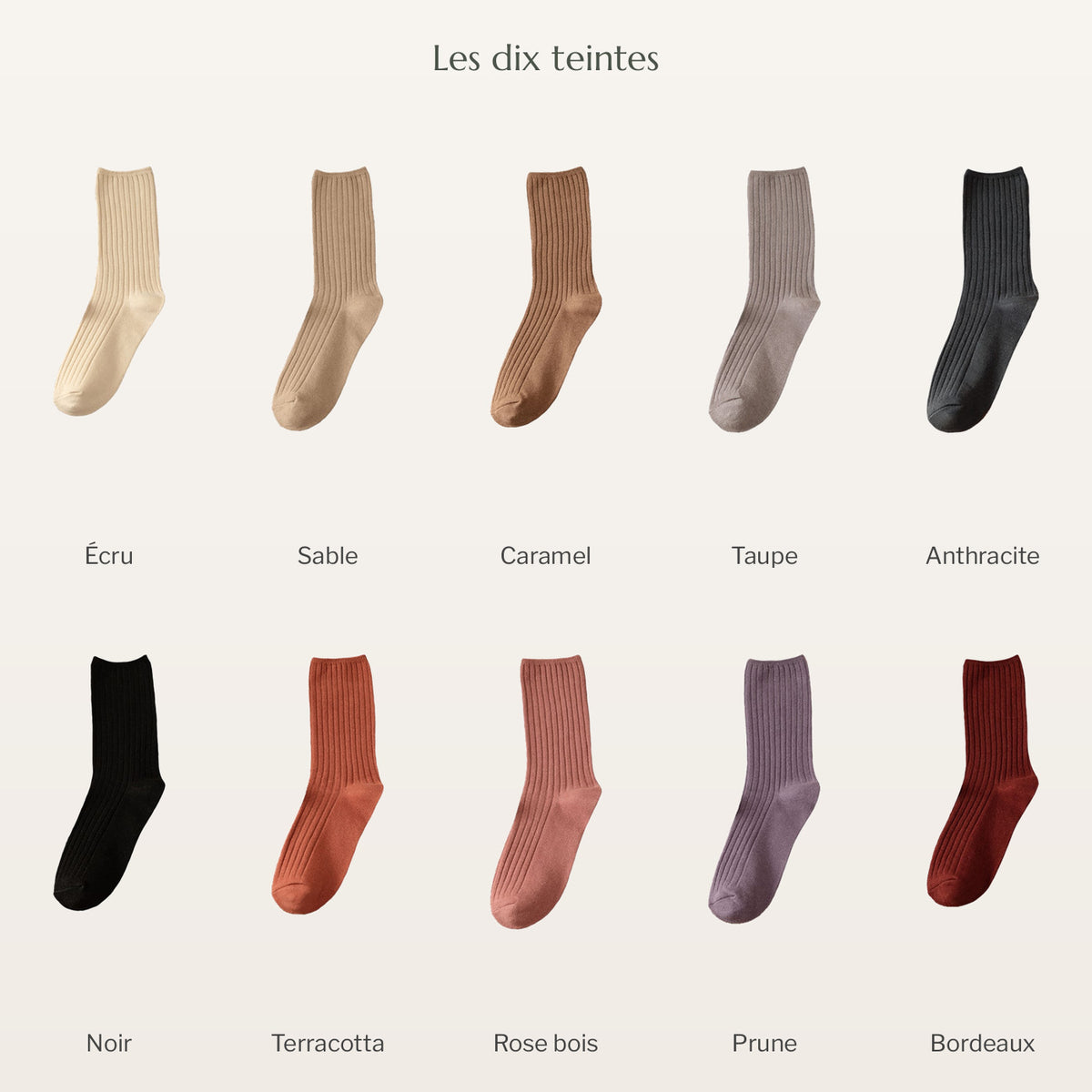 Les dix teintes des chaussettes côtelées, une chaussette par teinte, de l'écru au bordeaux Image