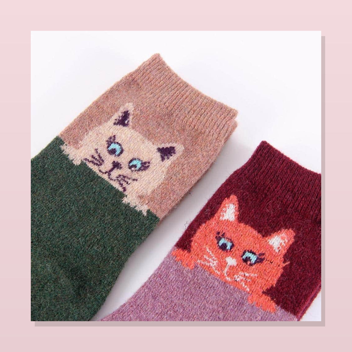 Deux motifs de chats crème et roux Image