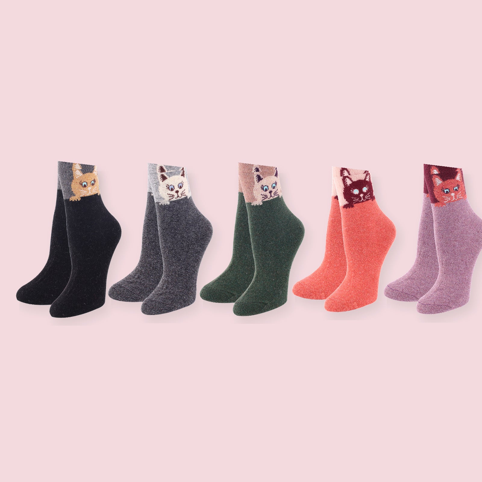 Cinq paires de chaussettes chat alignées par coloris Image
