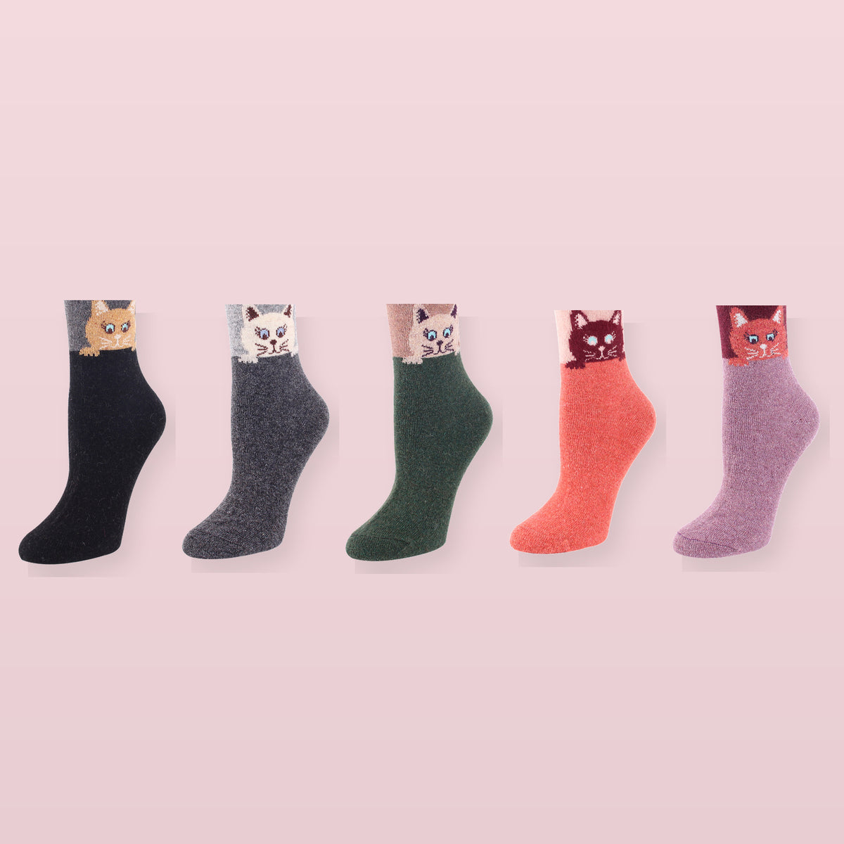 Cinq motifs de chats sur les chaussettes assorties
