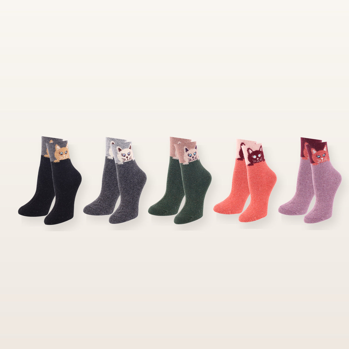 Lot complet de cinq paires de chaussettes chat