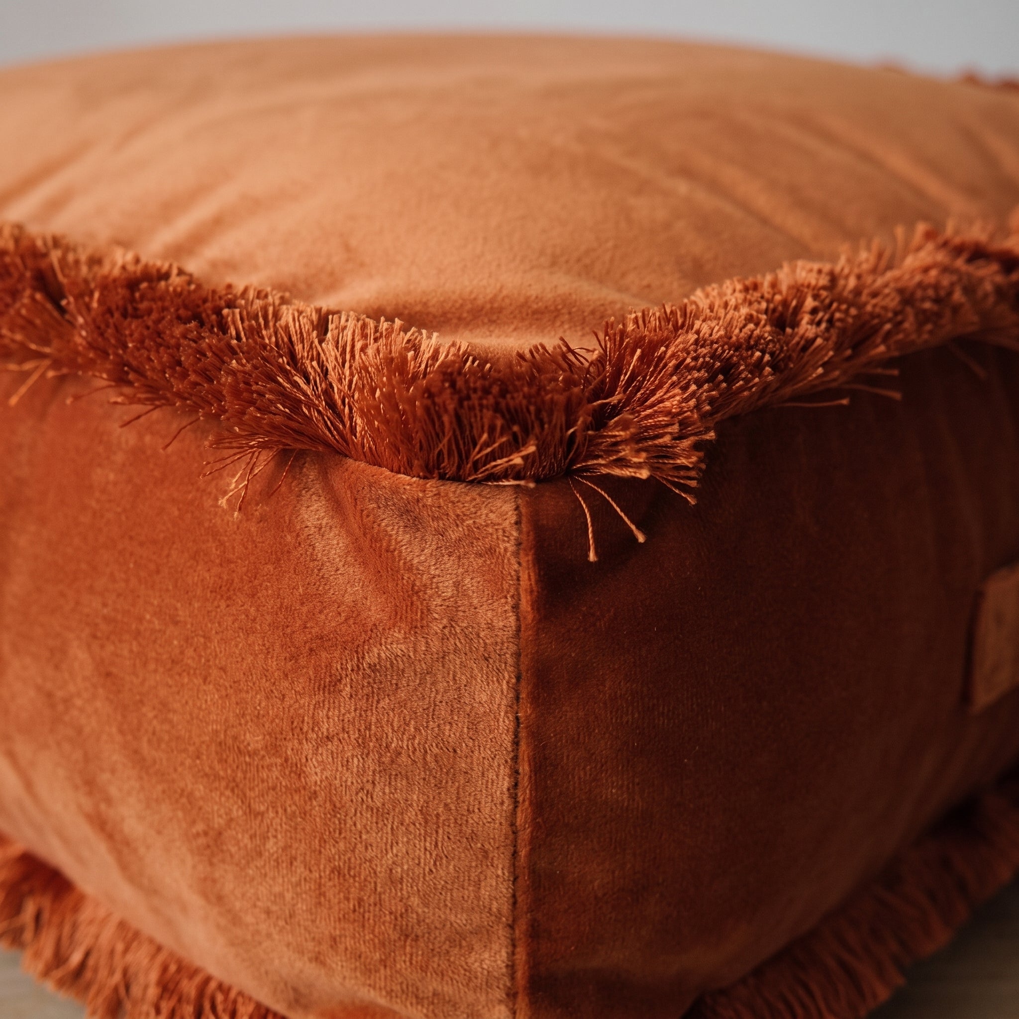 Détail de la frange de velours coupé sur l'arête du coussin Image