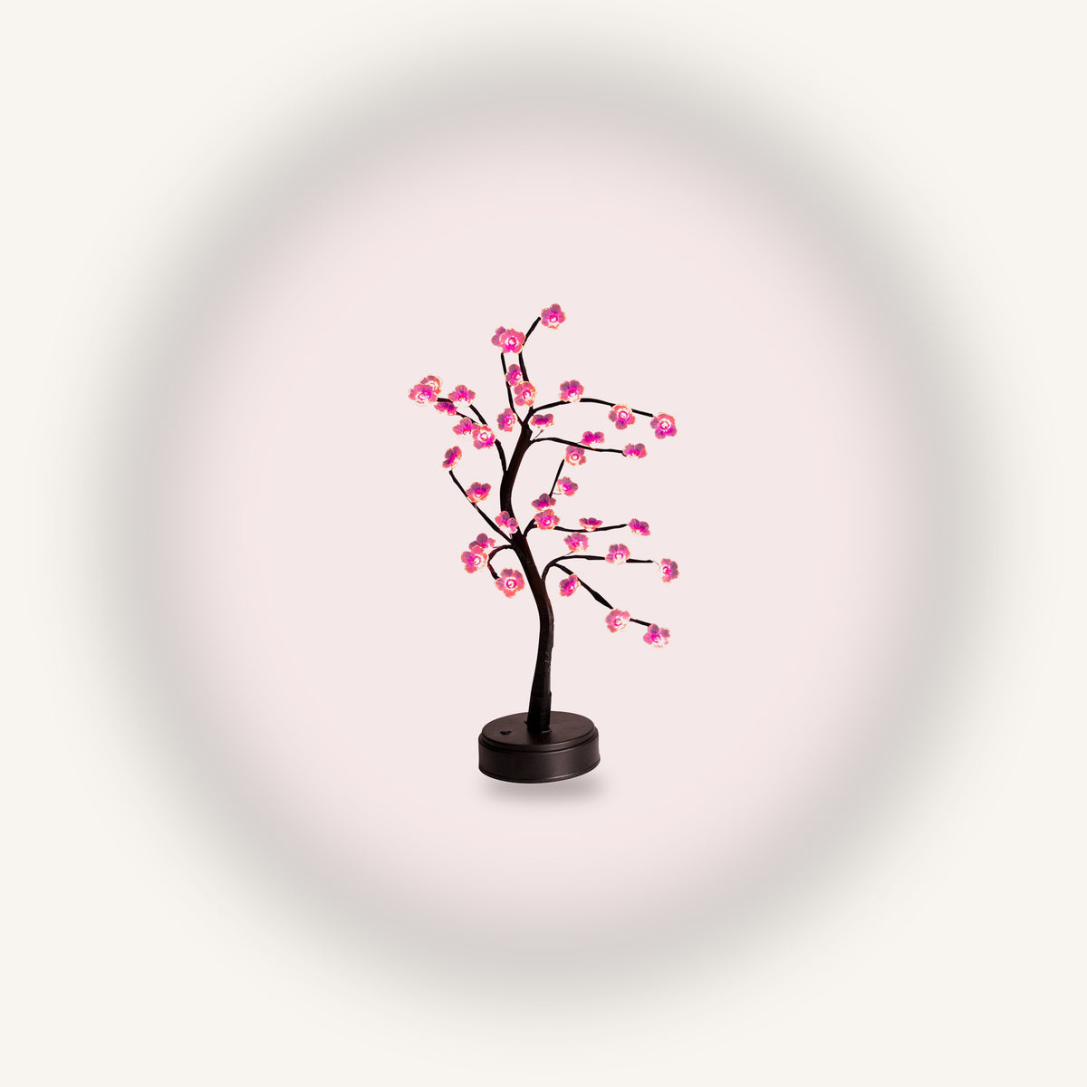 Vue entière de la lampe bonsaï LED, branches sombres, fleurs roses et socle rond noir