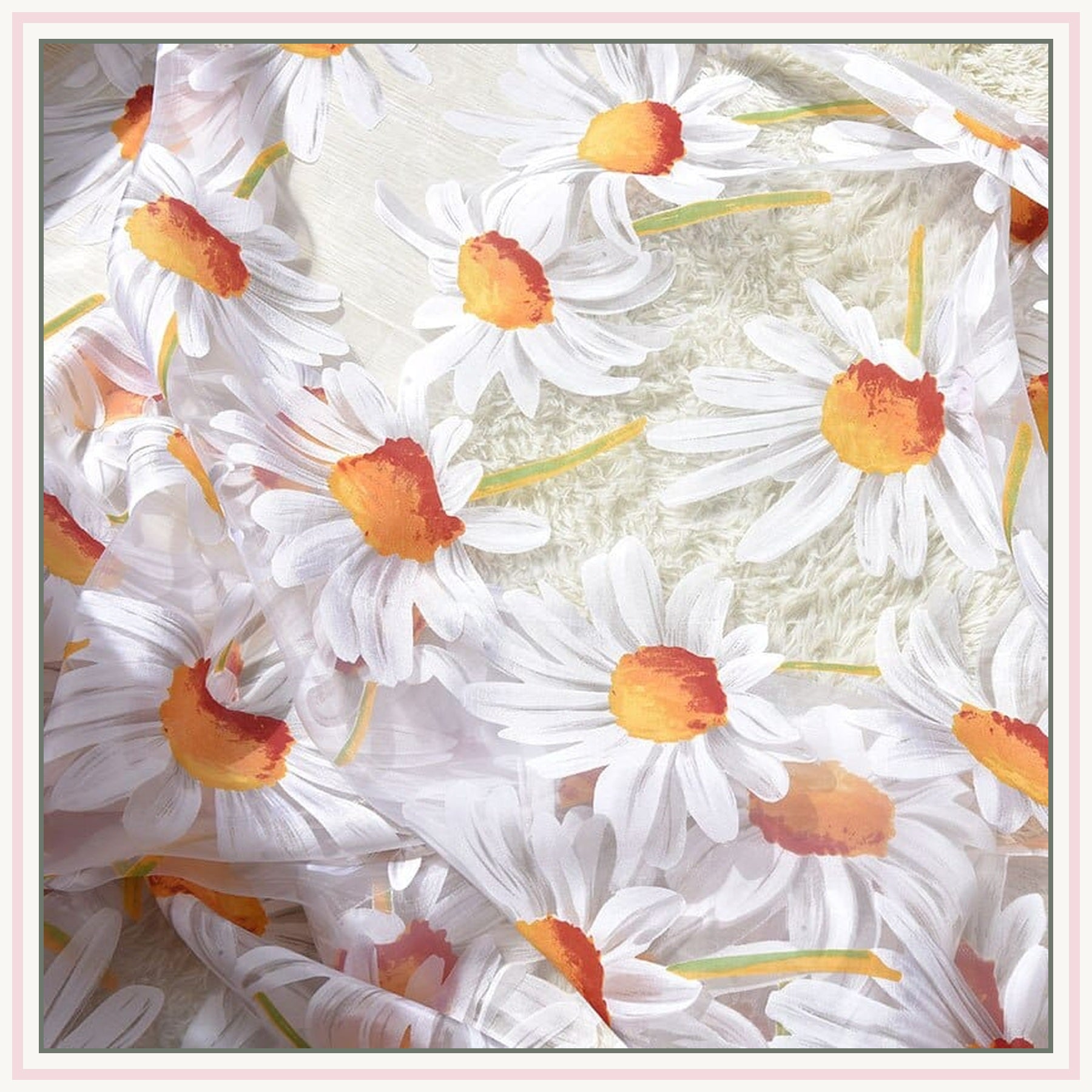 Marguerites du voilage en tulle traversées par la lumière de la fenêtre Image