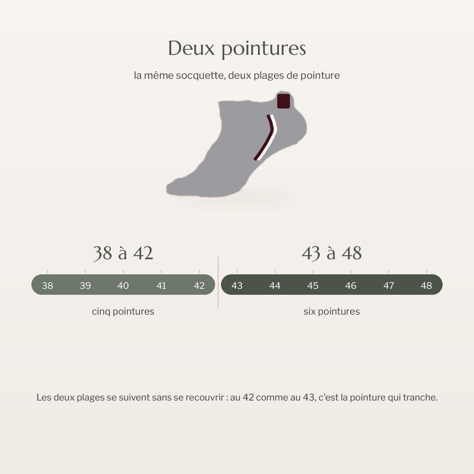 Les deux plages de pointure des socquettes sur un axe gradué du 38 au 48 Image