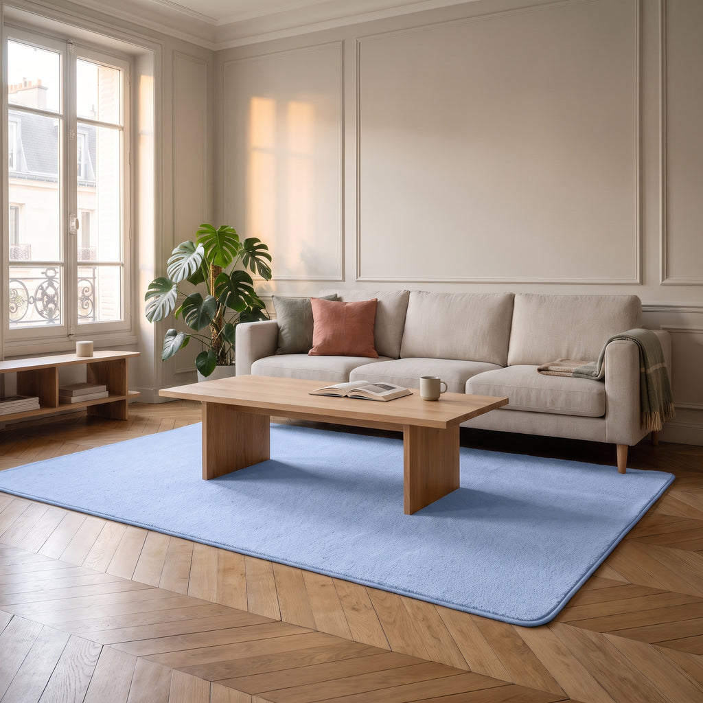 Tapis bleu en molleton ras dans un salon lumineux