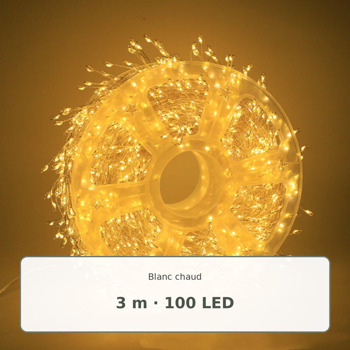 Guirlande LED blanc chaud · 3 m, 100 LED